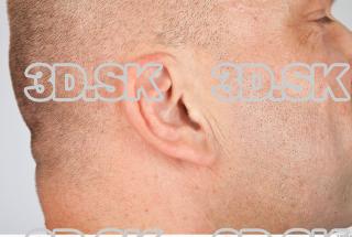 Ear texture of Dale 0001